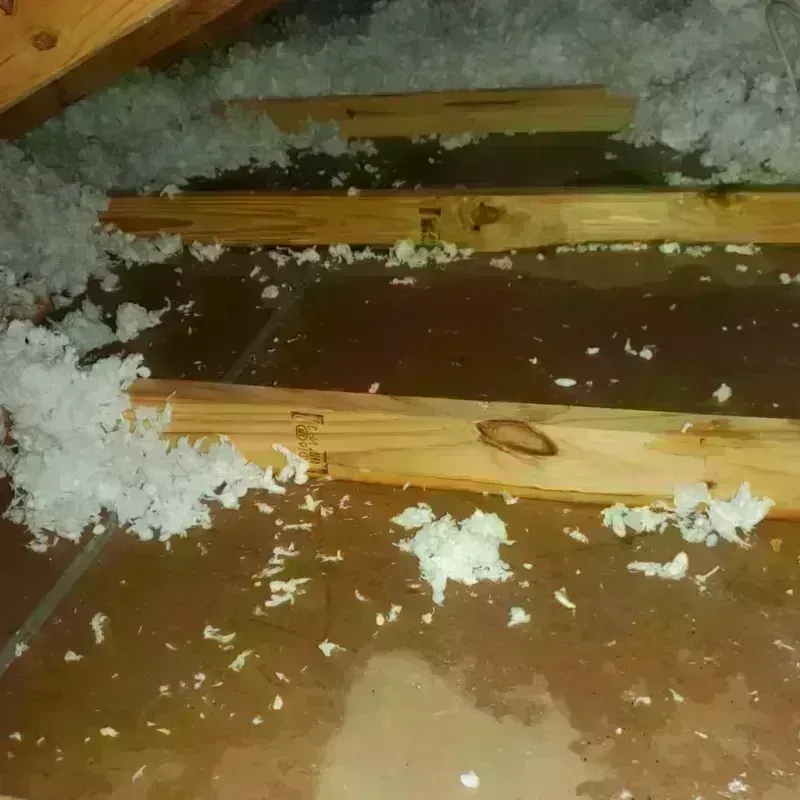 Attic Water Damage in Hamilton, TX