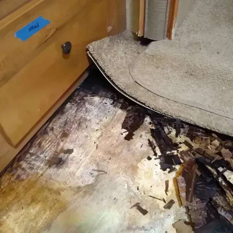 Wood Floor Water Damage in Hamilton, TX